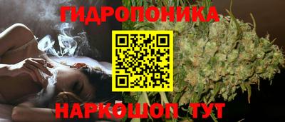 PSILOCYBIN Ирбит