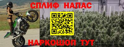 ГАЛЛЮЦИНОГЕННЫЕ ГРИБЫ Ипатово