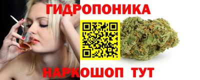 PSILOCYBIN Ирбит