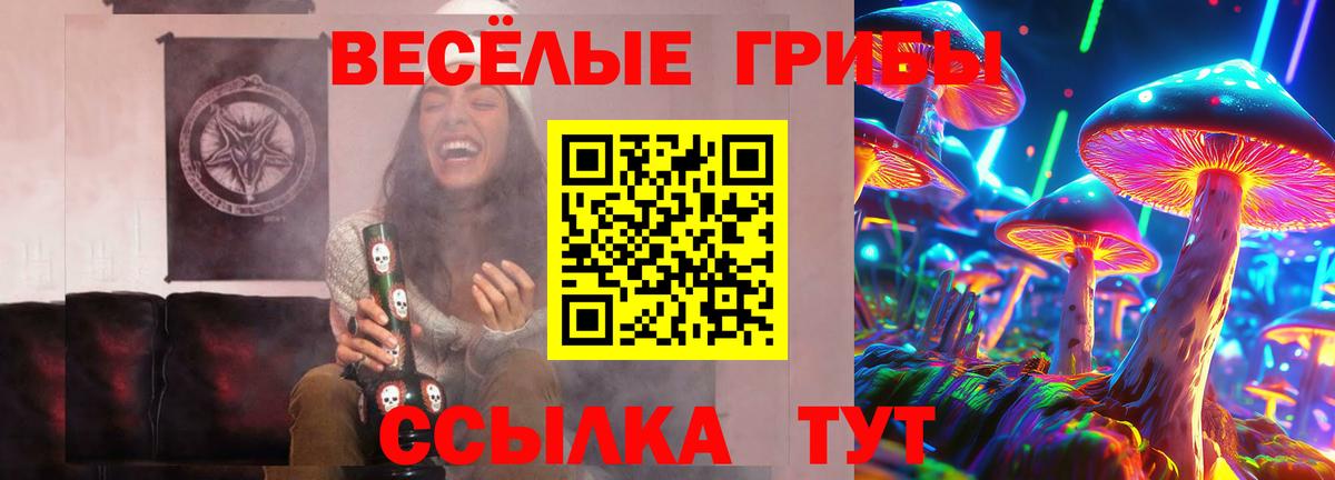 Псилоцибиновые грибы GOLDEN TEACHER  наркотики  Зеленодольск  Вход с VPN 
